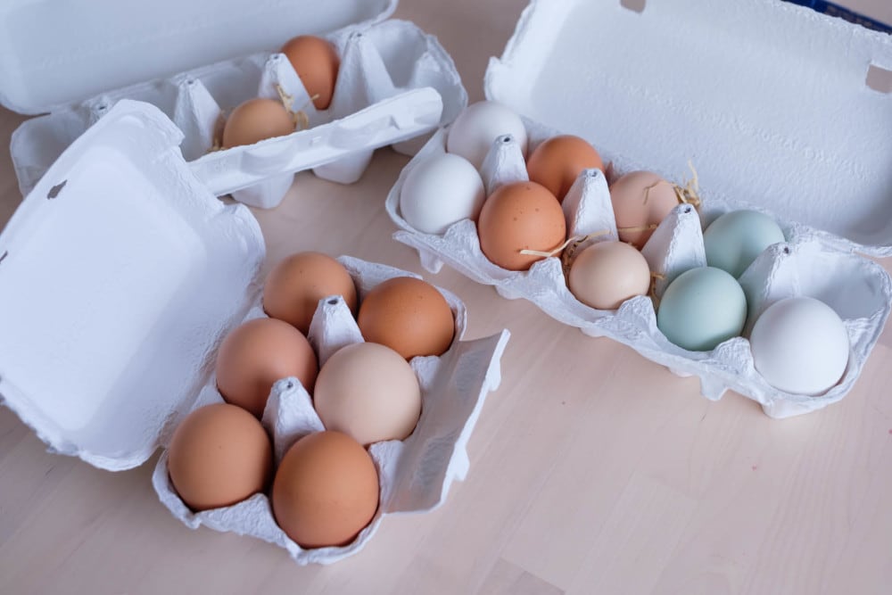 アローカナも烏骨鶏も！4色の卵セットを買ってみた | 農家漁師から産地直送の通販 ポケットマルシェ