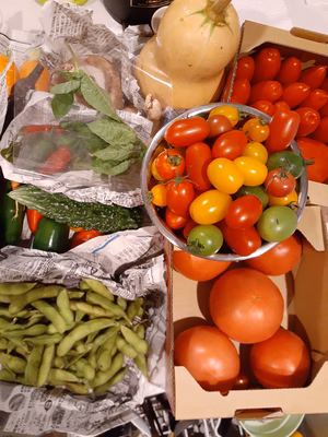 みんなの投稿の画像