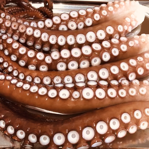 【北三陸田野畑産】　無添加茹でタコ　足、頭約1kg　【小分け】