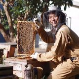 西村洸介 | 西村養蜂場