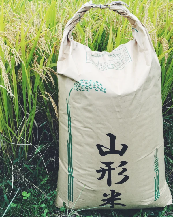 【H30収穫】【白米】つや姫5kg  山形県置賜盆地飯豊町産 特別栽培米