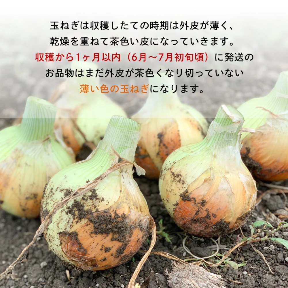 淡路島産たまねぎ 特別栽培 兵庫県認証食品 レシピ付き！