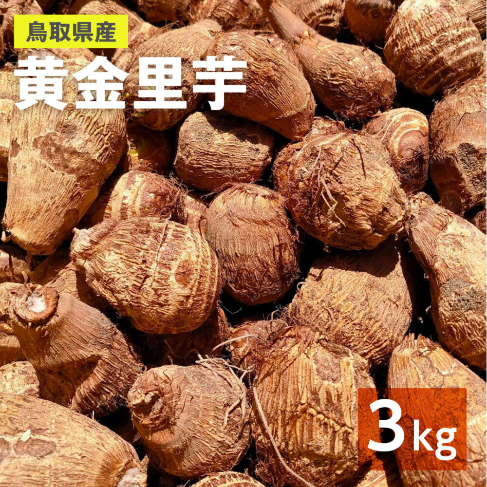 鳥取県産】黄金里芋 大和芋 根菜 長芋 サトイモ さといも 3kg 5kg
