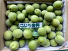 和歌山県産 古城(こじろ)青梅 (Lサイズ主体・サイズ混合M〜2L)