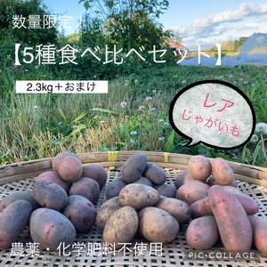 【レアじゃがいも食べ比べセット】