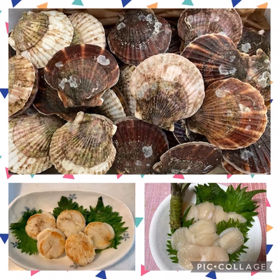 みんなの投稿の画像