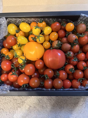 みんなの投稿の画像