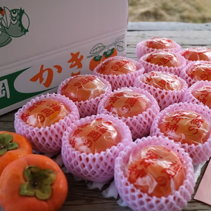 厳選 冷蔵柿（富有柿）14個入り２Lサイズ 　福岡県久留米市田主丸町産