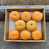 柿の王様！富有柿【ご家庭用】特別栽培/奈良・吉野