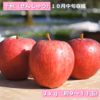 青森県産りんご『千秋』3kg　約9~11玉