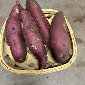 上品さを兼ね備えたシルクスイート