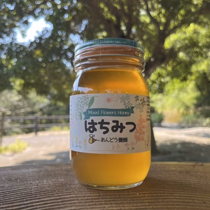 【添加物なし】はちみつ 600g 蜂蜜 ハチミツ セイヨウミツバチ