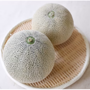 【海抜0m】有明海育ち アンデスメロン 2L以上 2玉｜河野FARM直送