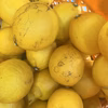 瀬戸内海の島育ち！レモン　家庭用