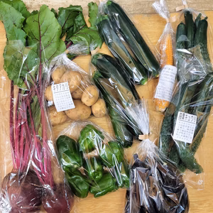 数量限定★お楽しみ野菜セット　フードロス対策　パチャママ農園　規格外