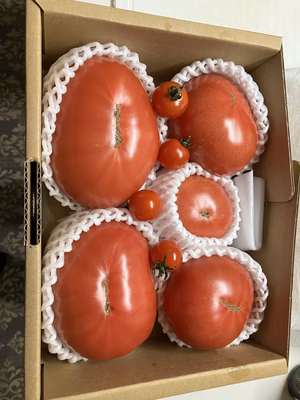 みんなの投稿の画像