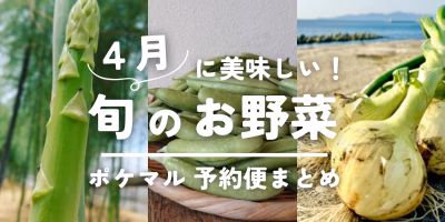 ４月が旬の冬野菜（大根・きのこ・トマト等）旬食材 予約・購入も