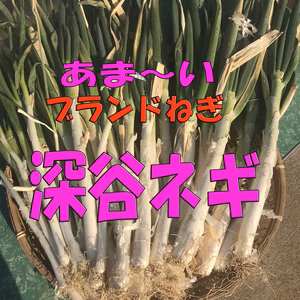 深谷ねぎ！今期最後です/御家庭用（泥付サイズ色々）お買い得♡