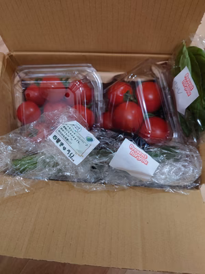 みんなの投稿の画像