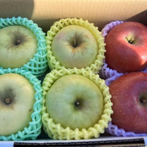 園主おまかせ❗️りんご3種詰め合わせ