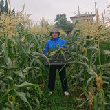 林 正美 | 林農園