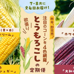 【7・8月に全4回】注目のコーンを4色網羅！「欲張りとうもろこしの定期便」