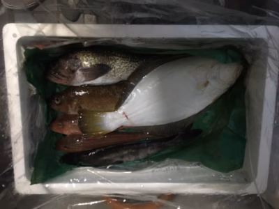 みんなの投稿の画像