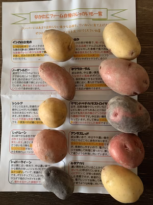 みんなの投稿の画像