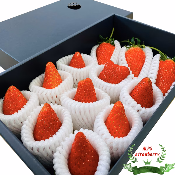 【今シーズン先行予約販売】　特選大粒アルプスいちご　希少な南信州産　1箱12粒入