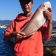 佐々木正和