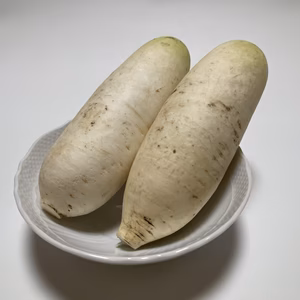おろしそばに最適! 福井県産 辛味大根(品種名:味辛) 2kg