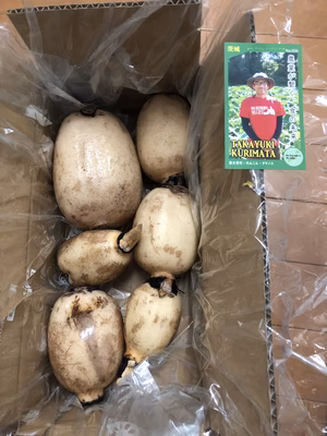 みんなの投稿の画像