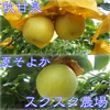 スクスク農場の梨 秋甘泉(あきかんせん)と夏そよか(なつそよか)のセット