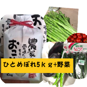 【季節限定】令和2年産ひとめぼれ精米5ｋｇとおまかせ野菜（夏バージョン）セット