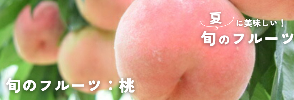 夏に旬のフルーツ 桃