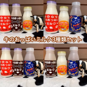 牛のおっぱいミルク3種類セット