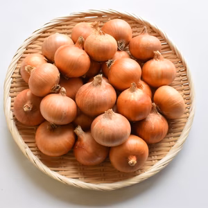 和らぎ農法　極みの玉ねぎ便