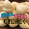 【大セール】青森県産ミネラルむきにんにくたっぷり500g➕おまけ増量