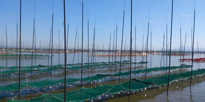 【つながるポケ○（マル）日記】苦戦を強いられた今季、注文してくれたユーザーさんに提案された、3つの選択肢。 ー海苔漁師・藤川さんー