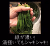 【常温】緑をたべよう！ほうれん草まつり[2kg]