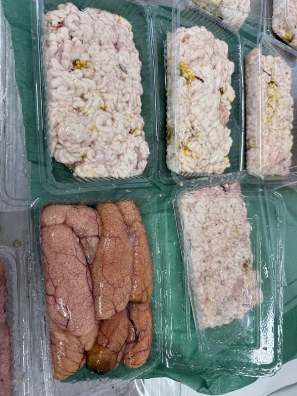 残り2セット❗️本日限定‼️生スケソのタラ子&白子