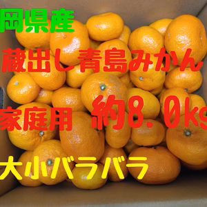 静岡県産　蔵出し青島みかん　家庭用　大小バラバラ　約8.0㎏