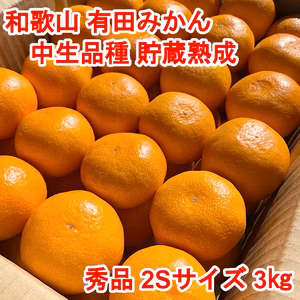 【秀品・中生品種・２Ｓサイズ】和歌山有田産みかん≪3㎏≫　★１月７日以降発送