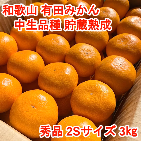 【秀品・中生品種・２Ｓサイズ】和歌山有田産みかん≪3㎏≫　★１月７日以降発送