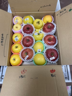 みんなの投稿の画像