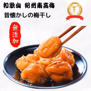 8/21まで最大5000円割引！無添加 紀州南高梅 和歌山 紀州 白梅