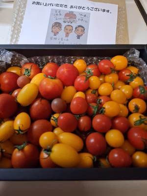 みんなの投稿の画像