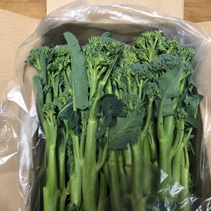 スティックセニョール