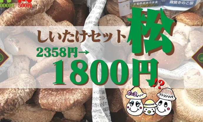 【お試しBOX】豪華なしいたけ詰め合わせセット！【松セット】