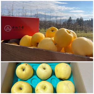 【訳あり】【はるか】パリ甘・ジューシー家庭用